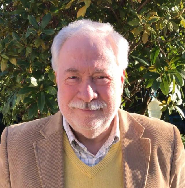 Pablo Szmulewicz Espinosa